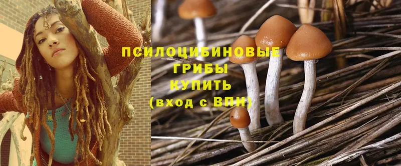 Псилоцибиновые грибы MAGIC MUSHROOMS  кракен как войти  Котельники 